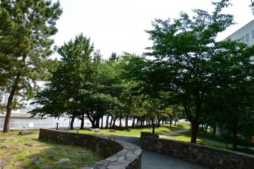 This is the very inviting entrance to the park.