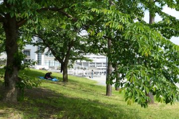 A great place to sit, read a book, and just relax.