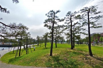 And oasis in the middle of the city!