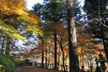 <p>From Mikoshi-Den Hall, the silent path leads you to the Main Prayer Hall</p>