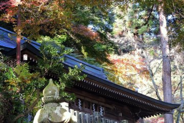 <p>Mikoshi-Den Hall surrounded by trees in the woods</p>