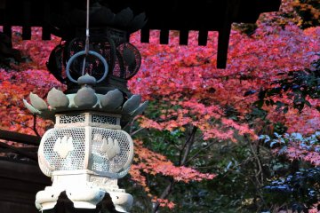 Main Hall of Okafuto Shrine