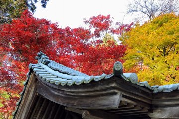 Sangetsu-Ro & Izumo Taisha in Fukui