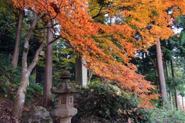 <p>Stone lantern and orange leaves hanging over the pathway</p>