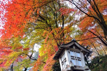 <p>Wooden lantern standing beside the pathway of Kakyo Park with colorful autumn leaves in the background</p>