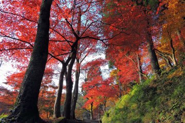 Konpira Shrine at Kakyo Park