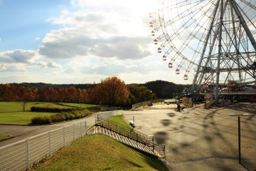 Riding a Tranquil Ferris Wheel