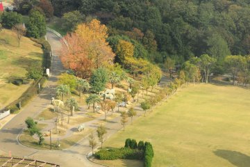 <p>Animal figures in Moricoro Park</p>