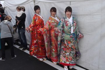 Hamamatsu Autumn Food Festival