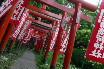 These series of red torii gates mark the entrance to Sasuke Inari Shrine.  I did not count how many torii gates there were, but they follow the trail all the way to the shrine.  Most of the wooden torii gates have been replaced by plastic ones, but you ca