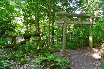 This torii gate and little shrines with little porcelain and stone foxes were located behind the main shrine.  I love how all the little shrines were covered in moss and surrounded by foliage.