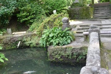 This is the entrance to the Jochiji Shrine.  Jochiji Shrine is one of the five famous temples of Kamakura and is the location of one of the sacred wells.