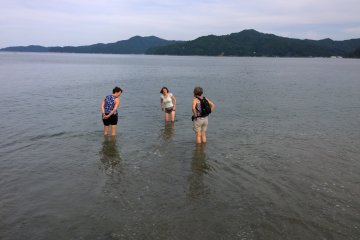 <p>A dip in the Pacific, first time for them.</p>