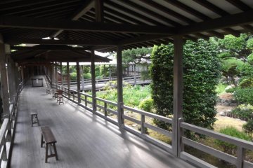 A tranquil walkway