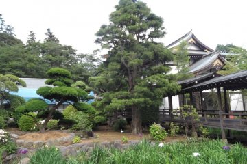 Beautifully Cared for Garden