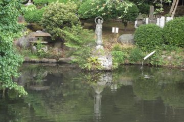A quiet pond