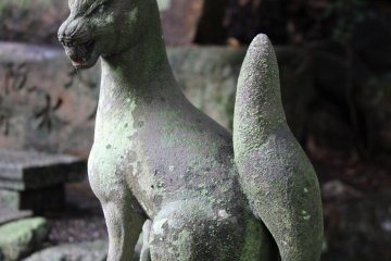 교토 사가노 물의 신
