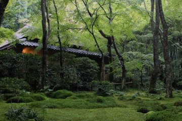 Gio-ji Temple, Kyoto: Part 1 of 4