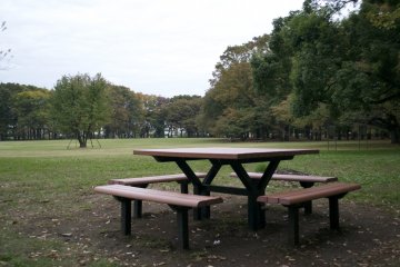 <p>Who's in for a picnic?&nbsp;</p>