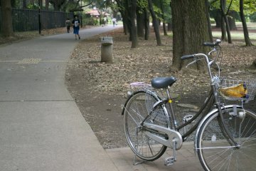 <p>Why not cycle through the park on a sunny day?</p>