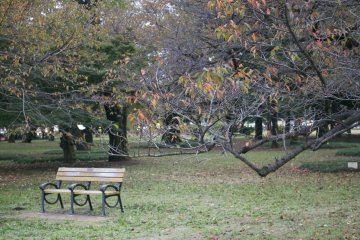 <p>Out jogging at Koganei park? Catch your breath on one of the park's benches</p>