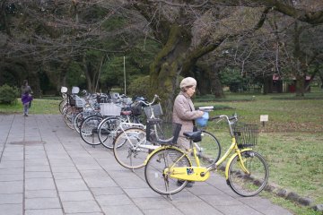 <p>What a beautiful yellow bike! I want one too</p>