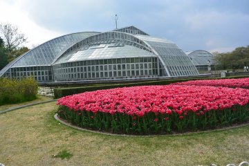 Kyoto Botanical Garden