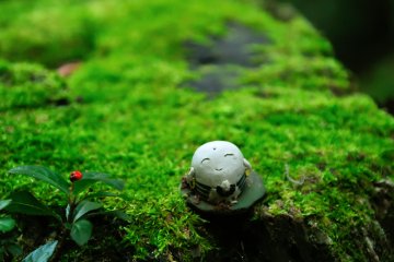 Soothing Scenery of Enkoji