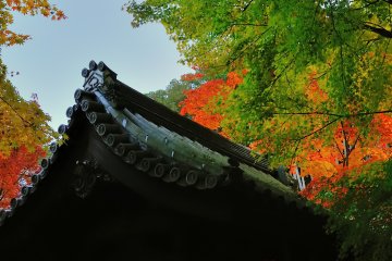 <p>Morning sun beginning to shine over the belfry</p>