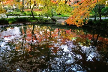 Strolling around Seiryuchi Pond