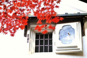 Autumn at Kyoto's Shisendo