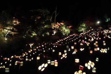 <p>The rows of lanterns remind me of an airport landing strip in the distance.</p>