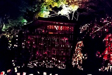<p>So many lights,&nbsp;designs, and colors abound. Trying to take it all in can be overwhelming. I recommend getting there early and on a weekday if possible so as to take your time.</p>
