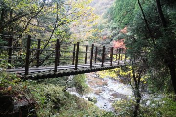 <p>The bridges were built from local cedar and are reinforced against high winds</p>