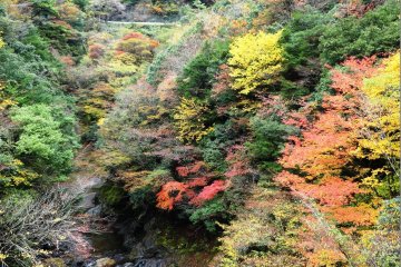 <p>Looking up at the Ayatori Bridge</p>