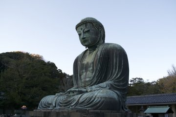<p>Majestic&nbsp;</p>