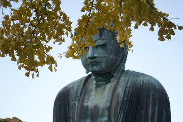 <p>Autumn leaves around Kotoku-in</p>
