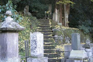 <p>Gravestones at&nbsp;Myohon-ji&nbsp;Temple</p>