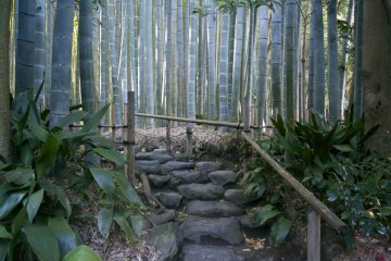 <p>Stone path that goes through the beautiful bamboo forest at Hokokuji Temple</p>