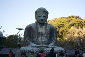 <p>Green nature surrounds the Daibutsu</p>