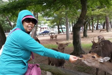 <p>Akhirnya ada yang menawarkan diri menolongku mengabadikan momen bersama rusa.</p>