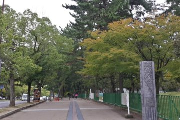 <p>Nara Park dengan hijau daun yang menyegarkan mata</p>
