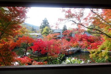 Autumn Scenery of Eikando