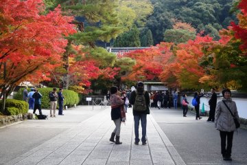 <p>The fantastic scenery begins even before you enter the temple</p>