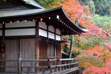 <p>Part of the temple complex goes up the hillside</p>