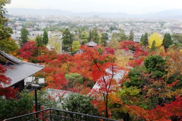 <p>A view down into the foliage-filled garden from the temple's pagoda</p>