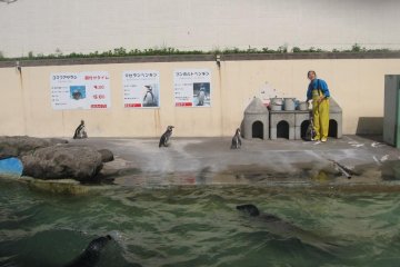 Putting on a good show for their guests