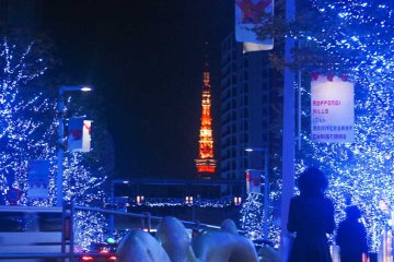 <p>Terlihat Tokyo Tower dari Keyakizaka</p>