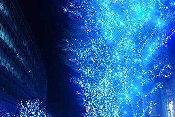 <p>Ribuan lampu LED berwarna biru menyelimuti pepohonan di pinggir jalan</p>