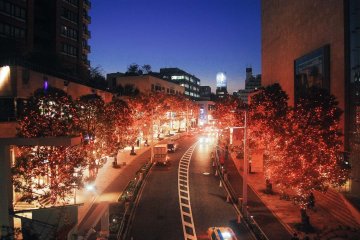 <p>Jalan Keyakizaka yang terletak di Roppongi Hills</p>